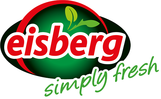 eisberg-logo.png